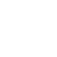 PDF-FD療法